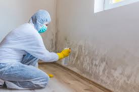 Mold Odor Removal Services in Malabar, FL